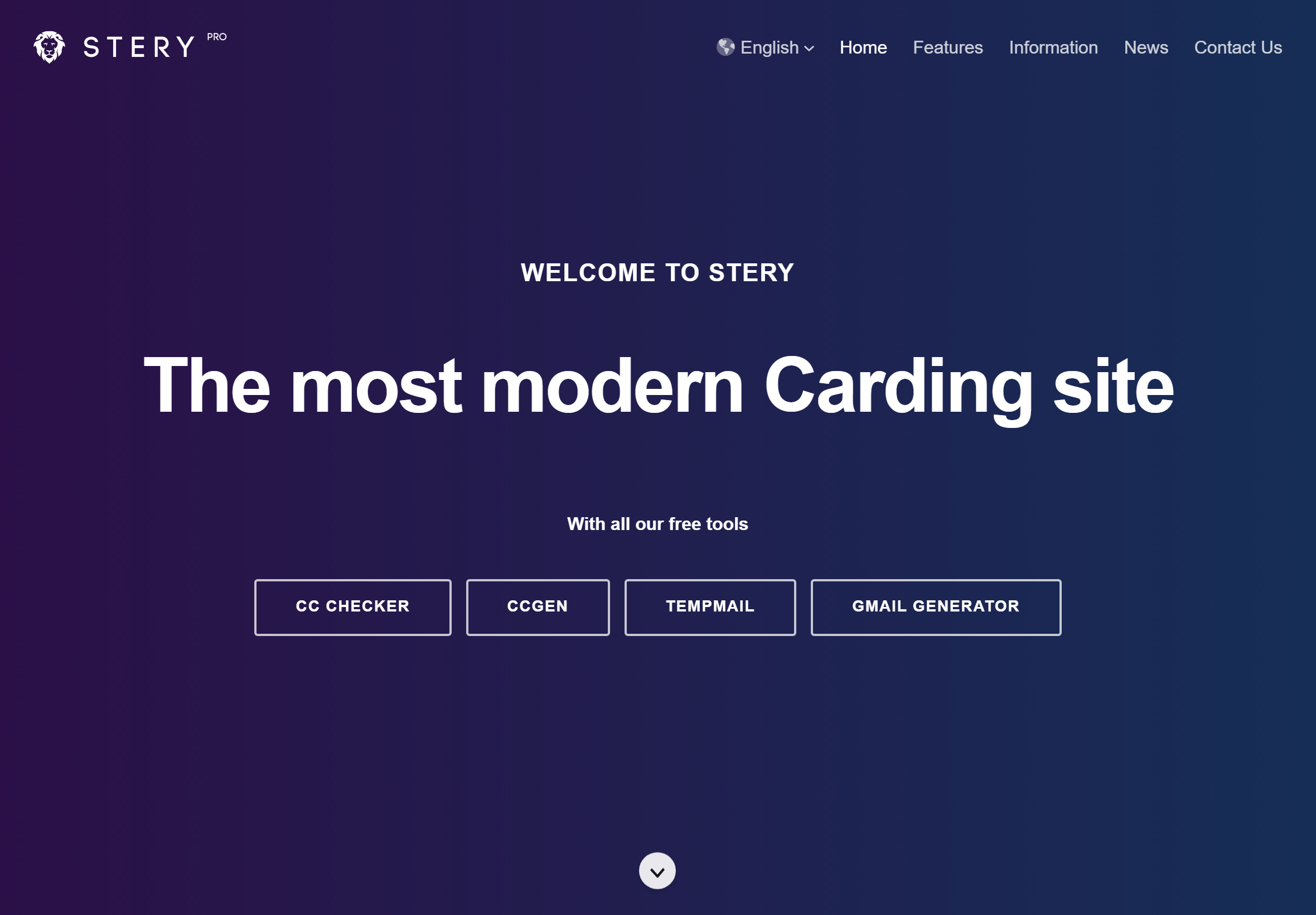 stery landing page